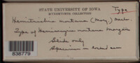 Image Associated With the Occurence